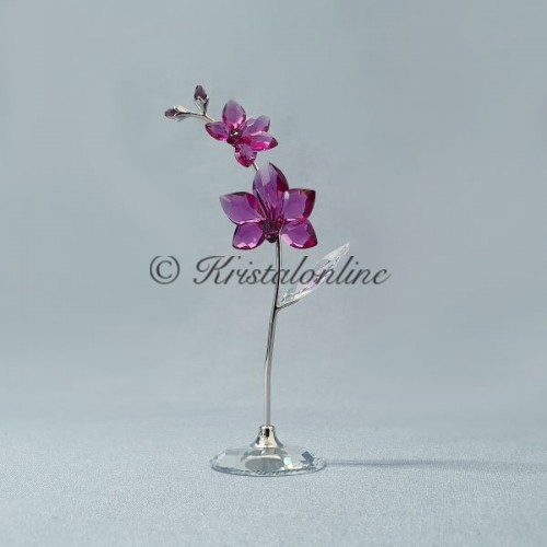 Swarovski Kristal | Crystal Moments | Bloemendromen - Orchidee - Groot | 5490755